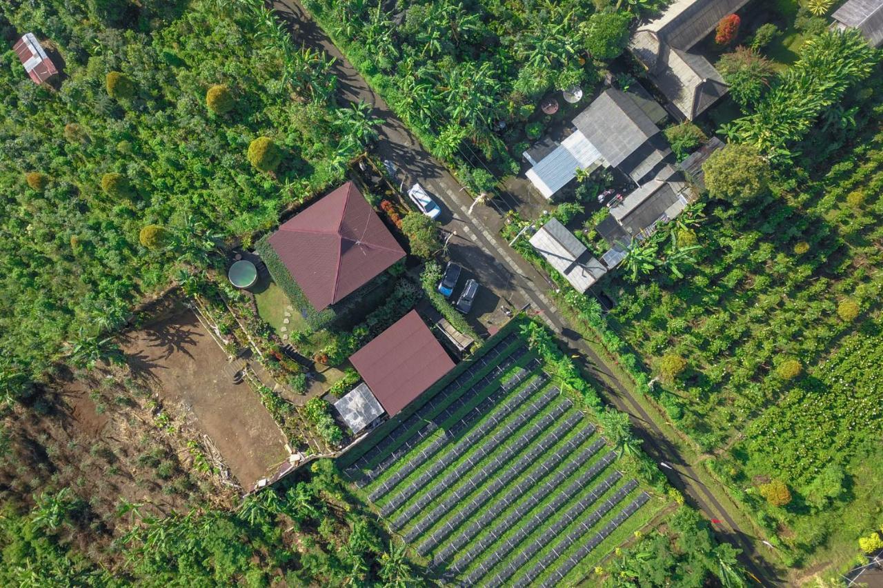 Kayukopi Villa Munduk Eksteriør bilde